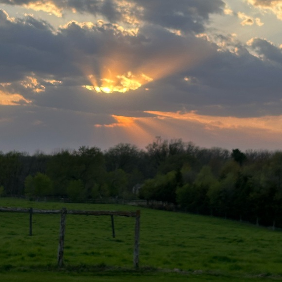 Meet your Posher, Patti - Picture 2 of 8